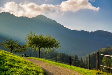 Beautiful landscape with a hiking trail in the Bavarian Alps