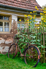 Old abandoned rusty bicycle leaning at a wooden fence in front of an old farm house
