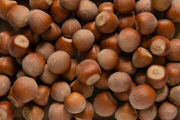 Hazelnut background. Hazelnut kernels in shell.