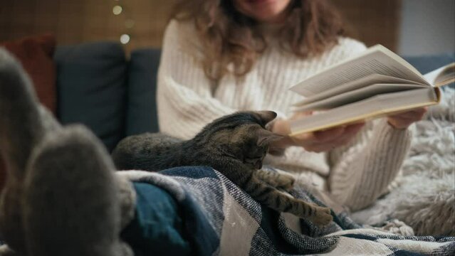 A young Caucasian woman reading a book sitting on the couch with her cute grey cat at home on a winter evening