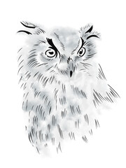 Owl sketch in gray tones. Digital illustration for design - 688507424