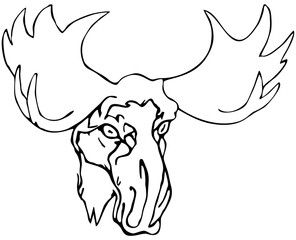 The head of a elk with large horns. Linear drawing