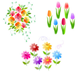 다채롭고 화려한 야생화와 튤립 식물 이미지