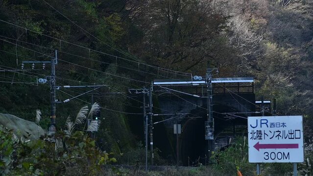 北陸新幹線敦賀延伸前の北陸本線を走る特急サンダーバード（北陸本線 南今庄-敦賀, 2023年11月）
