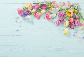 spring flowers on blue  wooden background