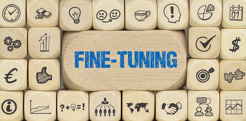 Fine-Tuning	