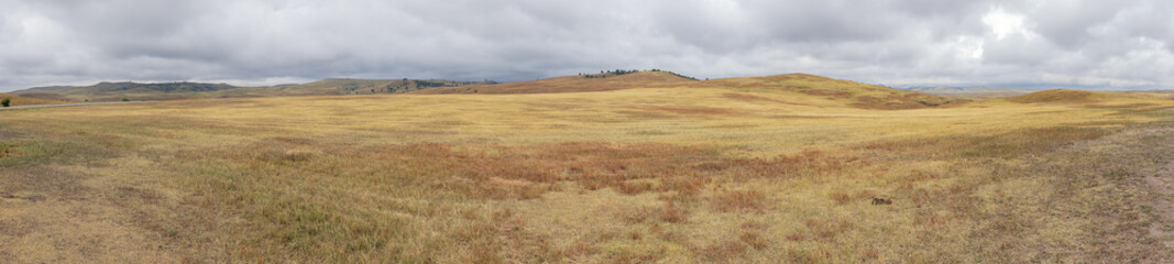 Wide panorama around the buffalo roundup parking in the Custer State Park, South Dakota