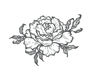 Obraz premium Vector Tattoo Design Rose Flower Bud. Black and White Outline Drawing.