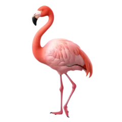 Fotobehang Flamingo isolated on transparent background © feng