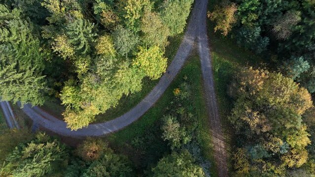 Top view of hiker walks on jogging track in the urban forest of Rapperswil-Jona in northeastern Switzerland_autumn season