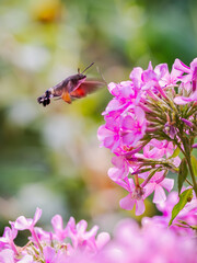 weightless - schwerelos