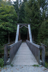 wooden bridge over the river in the forest front view