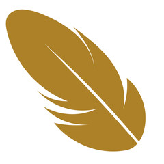 bird feather illustration