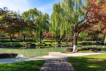 The Natural Scenery of Urban Gardens in Autumn