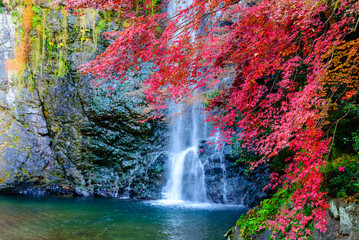 Minoh waterfall in autumn colorful at Minoh natural park Osaka Japan.
