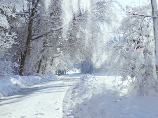 winterzauber