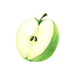 A half of green apple. Hand drawn botanical watercolor illustration isolated on white background. For clip art, cards, menu
