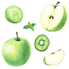 A set of fruits such as apple, lime, kiwi and mint. Hand drawn watercolor food illustration isolated on white background. For clip art cards menu label package