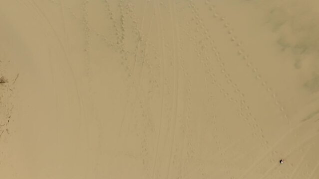Overhead aerial view of dune tracks spread throughout the sand in Jessie M. Honeyman Memorial State Park.