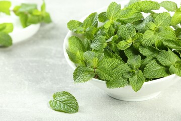Bowl with fresh green mint leaves on grey table. Space for text