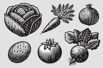 Engraving black vintage vegetable set on a white background: Cabbage, beet, onion, carrot, potatoes, tomato. For borscht	 - obrazy, fototapety, plakaty