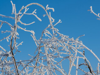 Stimmungsvolle Winteransicht mit Eiskristallen und verschneiten Ästen an Bäumen - 688545470