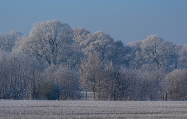 Schneelandschaft oder Winterlandschaft, Schnee und Eis bedeckte Bäume an einem Ackerland  - 688545600