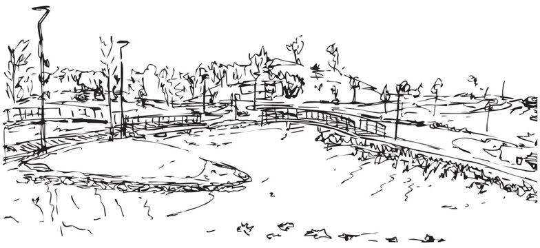 The landscape of the park with trees, a pond and bridges. Morning in park,. Ink drawing, vector image