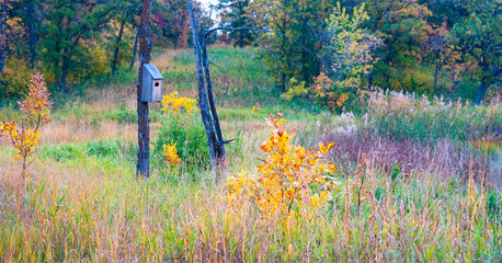 Fall Birdhouse