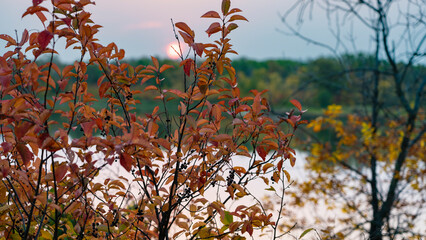 Fall sunrise