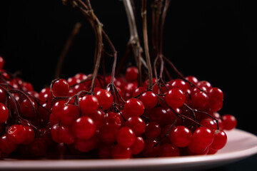 A bunch of ripe viburnum berries on a black background close-up