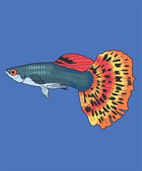 Guppy Fish Aquarium Aquaristic Fishes - obrazy, fototapety, plakaty