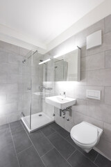 bathroom with toilet, shower and sink in an apartment