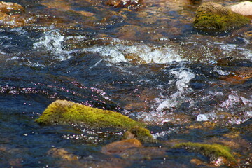 mountain river in winter