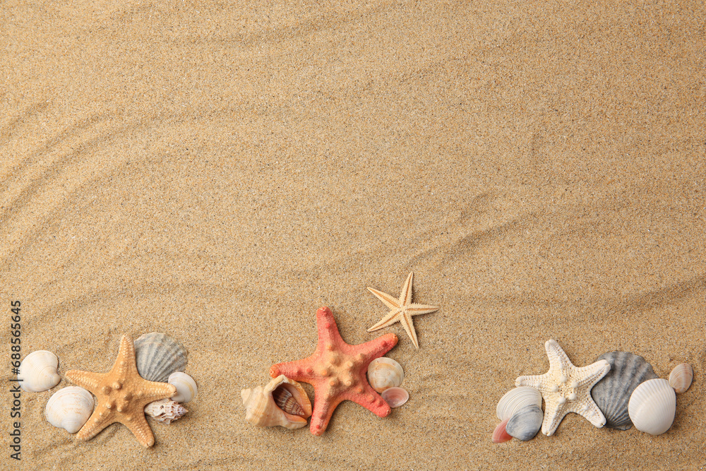 Wall mural Beautiful sea stars and shells on sand, flat lay. Space for text