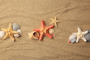 Fototapeta na wymiar Beautiful sea stars and shells on sand, flat lay