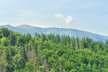 View of the Śnieżka Mountain massif seen from the Chojnik castle