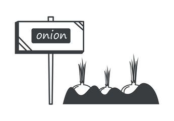 Garden element of set in black line design. Demonstration of the world of gardening in this charming illustration, with a black outline highlighting a garden bed of onion. Vector illustration.