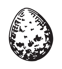 Wild bird egg outline clipart. Spring time doodle. Vector illustration in engraving style isolated on white.