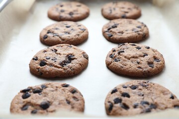 Chocolate chip cookies on parchment paper, closeup