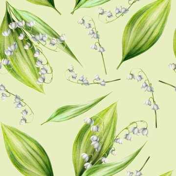 Watercolor seamless pattern with bouquets of lilies of the valley flowers isolated on background. Spring hand painted illustration. For designers, wedding, decoration, postcards, wrapping paper, scr