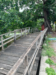 Fototapeta premium wooden bridge in the park