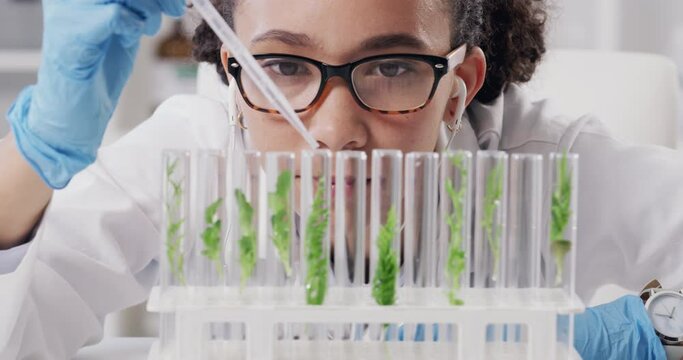 Woman, science and pipette for plant research, experiment and ecology investigation or study. Female person, scientist and leaves in vial, biotechnology and testing for innovation, tube and pathology