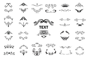 Ornate vintage handdrawn frames, labels, scrolls, logo, branches, leaves and floral motif. For greeting cards, wedding invitations, restaurant menu, royal certificates