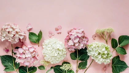 Tuinposter flowers composition hydrangea flowers on pastel pink background flat lay top view copy space © Faith
