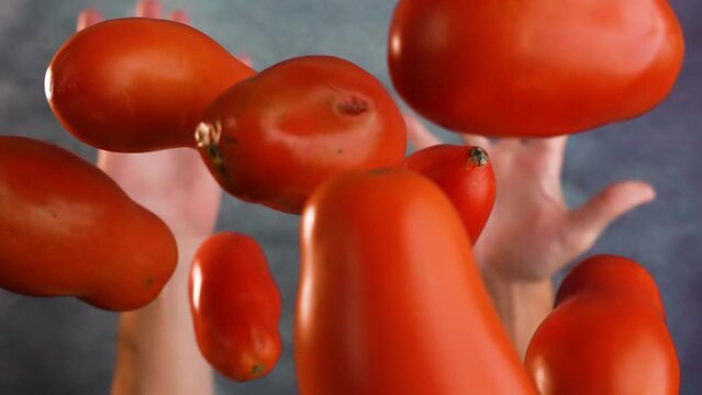 Tasty red tomatoes thrown in slow motion