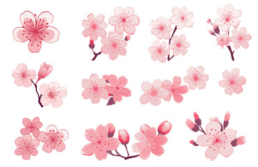 Pink Japanese cherry blossoms, spring cherry blossom. Cherry blossom japanese sakura - obrazy, fototapety, plakaty