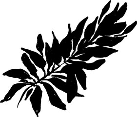 Leaf Grunge Artwork Brush Silhouette Element © Anna Babii