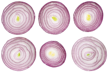 Set red onion slices isolated on a transparent background. A slice of the rings, top view.