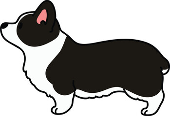 Simple and cute illustration of black colored Corgi in side view